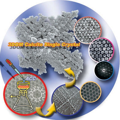 仿生材料合成領域研究新進展